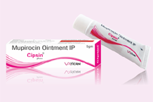 	CIPSIN CREAM.png	 - top pharma products os Vatican Lifesciences Karnal Haryana	